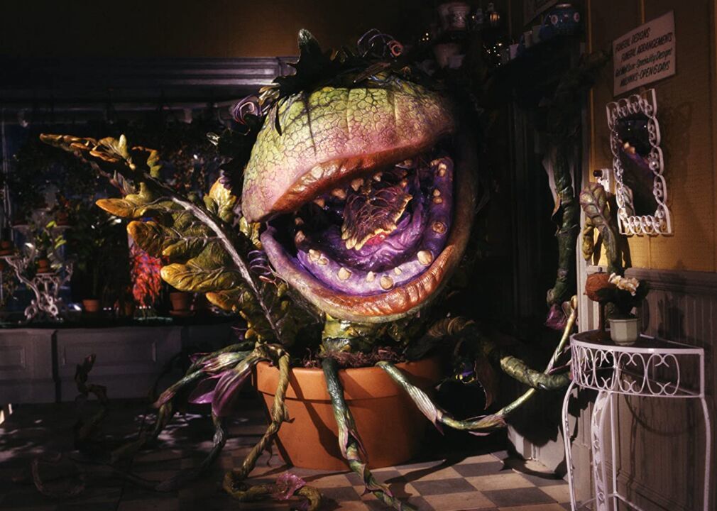 #86. Little Shop of Horrors (1986)
